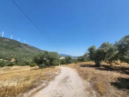 Land For Sale In Didim Fevzipaşa